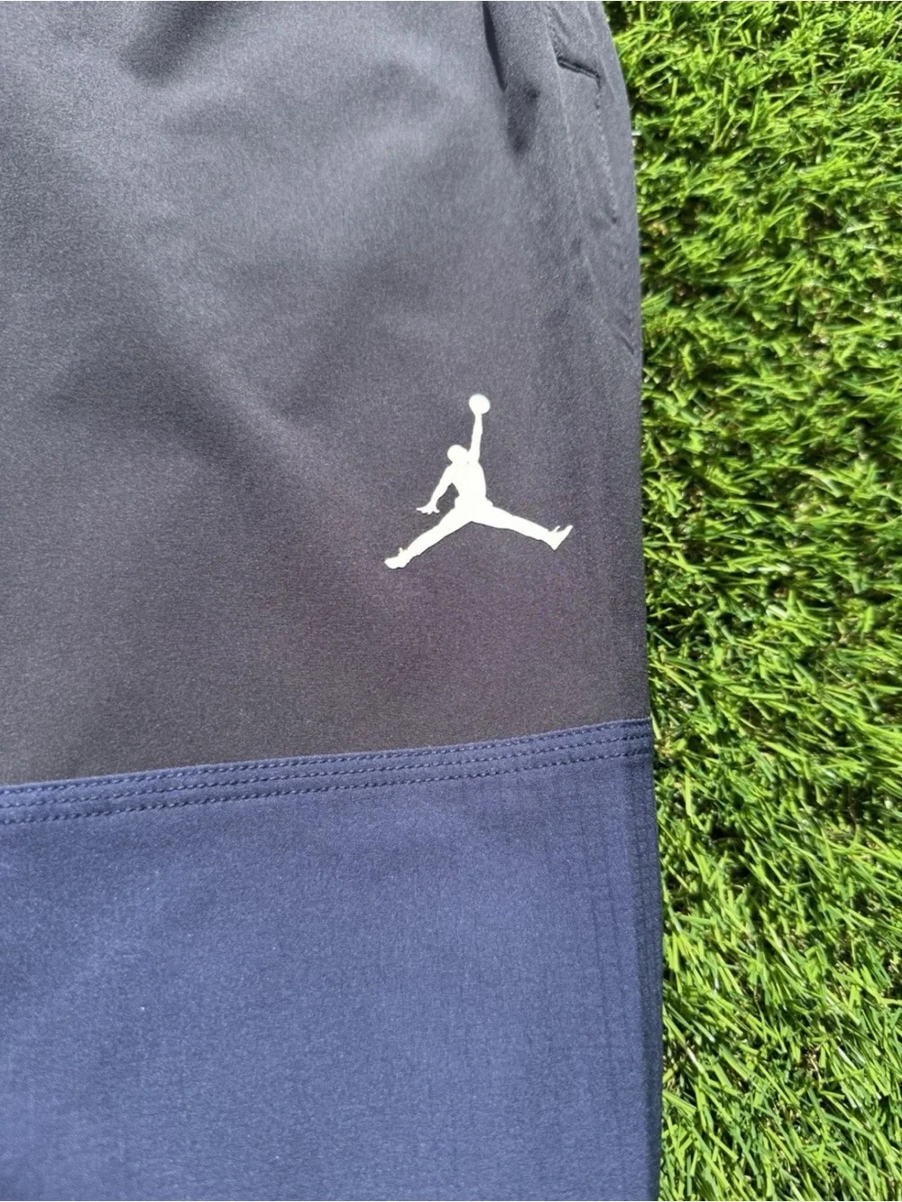 Jordan Brand Nike Michigan Wolverines PE Sideline Pants 2025 IH9496-419 Mens L